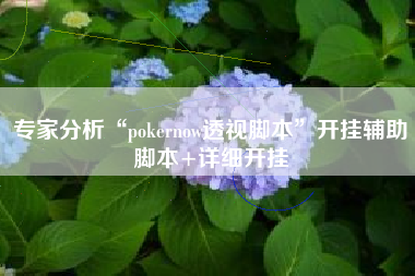 专家分析“pokernow透视脚本”开挂辅助脚本+详细开挂