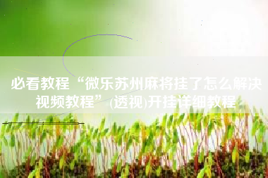 必看教程“微乐苏州麻将挂了怎么解决视频教程”(透视)开挂详细教程