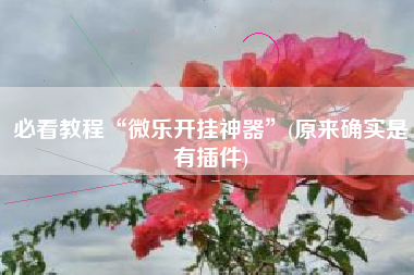 必看教程“微乐开挂神器	”(原来确实是有插件)