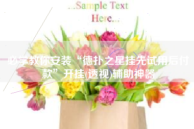 必学教你安装“德扑之星挂先试用后付款”开挂(透视)辅助神器