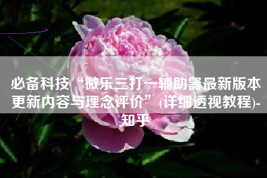 必备科技“微乐三打一辅助器最新版本更新内容与理念评价”(详细透视教程)-知乎