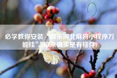 必学教你安装“微乐河北麻将小程序万能挂	”(原来确实是有插件)