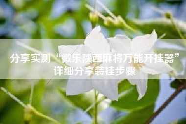 分享实测“微乐陕西麻将万能开挂器”详细分享装挂步骤