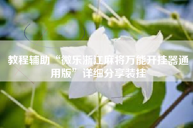 教程辅助“微乐浙江麻将万能开挂器通用版”详细分享装挂