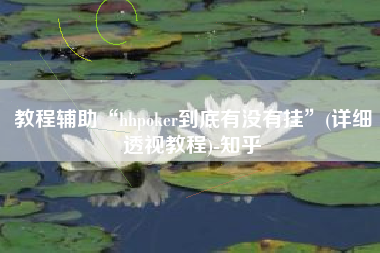 教程辅助“hhpoker到底有没有挂	”(详细透视教程)-知乎