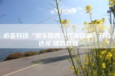 必备科技“微乐陕西三代有挂嘛”开挂(透视)辅助教程