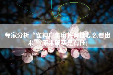 专家分析“雀神广东麻将有挂怎么看出来”(原来确实是有挂)