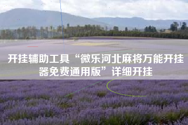 开挂辅助工具“微乐河北麻将万能开挂器免费通用版	”详细开挂