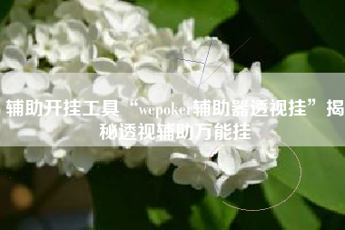 辅助开挂工具“wepoker辅助器透视挂”揭秘透视辅助万能挂