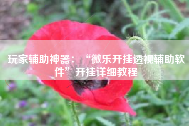 玩家辅助神器：“微乐开挂透视辅助软件”开挂详细教程