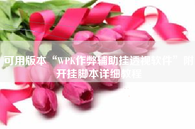 可用版本“WPK作弊辅助挂透视软件”附开挂脚本详细教程