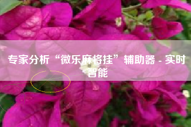专家分析“微乐麻将挂	”辅助器 - 实时智能