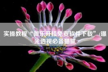 实操教程“微乐开挂免费软件下载”(曝光透视必备猫腻