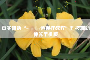 真实辅助“wepoker透视挂教程”科技辅助神器手机版