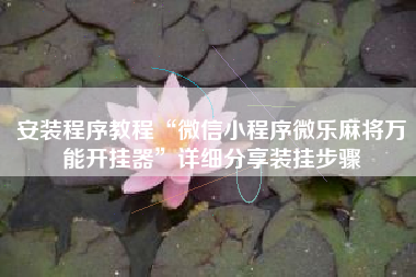 安装程序教程“微信小程序微乐麻将万能开挂器”详细分享装挂步骤