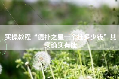 实操教程“德扑之星一个挂多少钱	”其实确实有挂