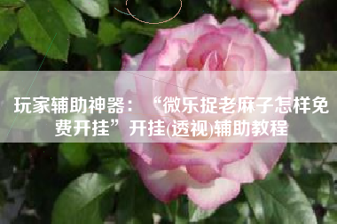 玩家辅助神器：“微乐捉老麻子怎样免费开挂”开挂(透视)辅助教程