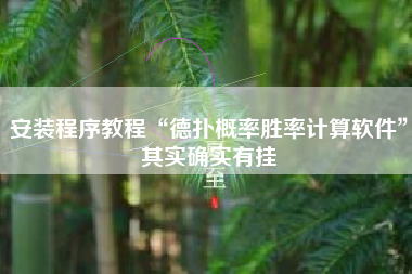 安装程序教程“德扑概率胜率计算软件”其实确实有挂