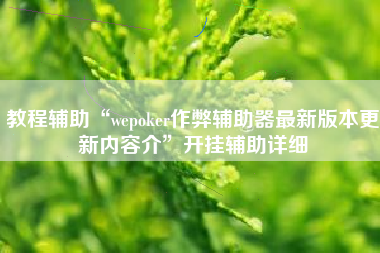 教程辅助“wepoker作弊辅助器最新版本更新内容介”开挂辅助详细