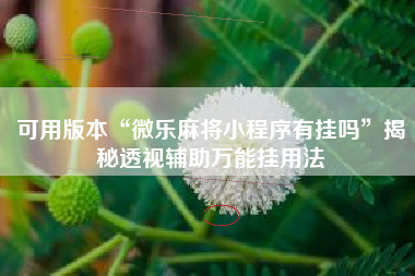 可用版本“微乐麻将小程序有挂吗	”揭秘透视辅助万能挂用法