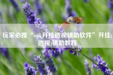 玩家必搜“wpk开挂透视辅助软件”开挂(透视)辅助教程