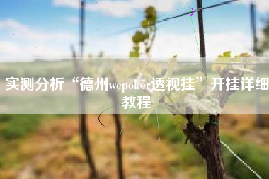 实测分析“德州wepoker透视挂”开挂详细教程