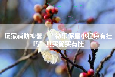 玩家辅助神器：“微乐保皇小程序有挂吗”其实确实有挂