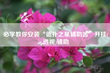 必学教你安装“德扑之星辅助器”开挂(透视)辅助