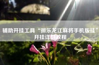辅助开挂工具“微乐龙江麻将手机版挂”开挂详细教程