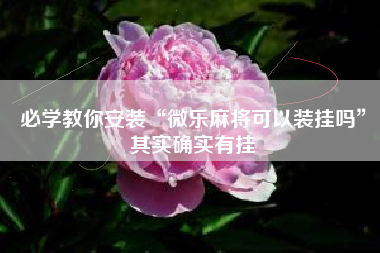 必学教你安装“微乐麻将可以装挂吗”其实确实有挂