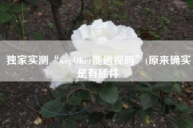 独家实测“wepOKer能透视吗”(原来确实是有插件