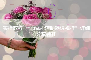 实操教程“WEPokeR辅助器透视挂”详细分享装挂