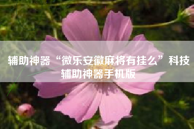 辅助神器“微乐安徽麻将有挂么”科技辅助神器手机版