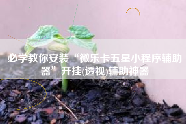 必学教你安装“微乐卡五星小程序辅助器”开挂(透视)辅助神器