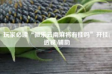 玩家必读“微乐云南麻将有挂吗”开挂(透视)辅助