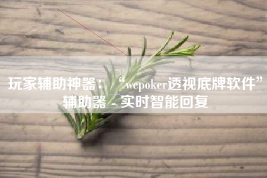 玩家辅助神器：“wepoker透视底牌软件”辅助器 - 实时智能回复