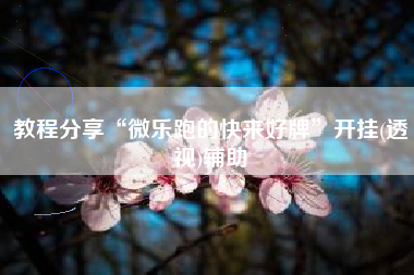 教程分享“微乐跑的快来好牌”开挂(透视)辅助