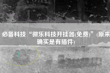 必备科技“微乐科技开挂器(免费)”(原来确实是有插件)