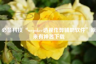 必备科技“wepoker透视作弊辅助软件	”原来有神器下载