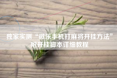 独家实测“微乐手机打麻将开挂方法”附开挂脚本详细教程