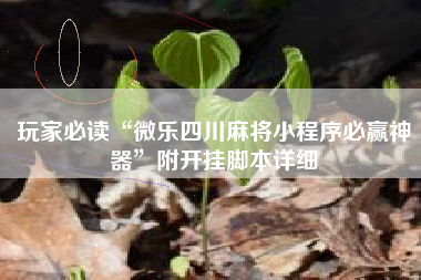 玩家必读“微乐四川麻将小程序必赢神器”附开挂脚本详细