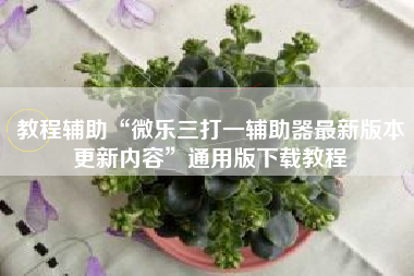 教程辅助“微乐三打一辅助器最新版本更新内容”通用版下载教程