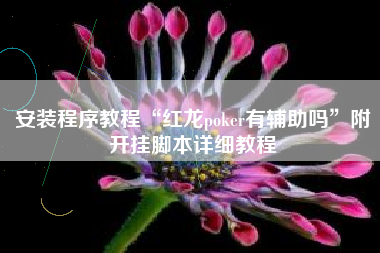 安装程序教程“红龙poker有辅助吗”附开挂脚本详细教程