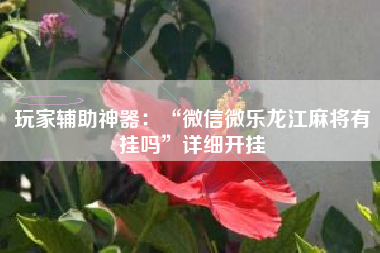 玩家辅助神器：“微信微乐龙江麻将有挂吗	”详细开挂