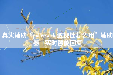 真实辅助“pokerworld透视挂怎么用”辅助器 - 实时智能回复