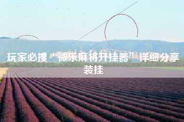 玩家必搜“微乐麻将开挂器”详细分享装挂