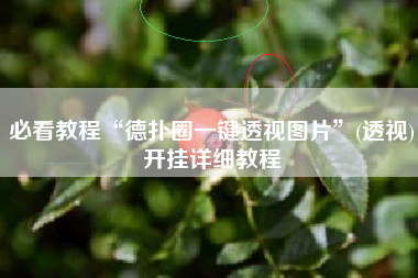 必看教程“德扑圈一键透视图片”(透视)开挂详细教程