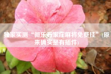 独家实测“微乐石家庄麻将免费挂	”(原来确实是有插件)