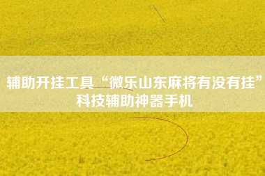 辅助开挂工具“微乐山东麻将有没有挂”科技辅助神器手机