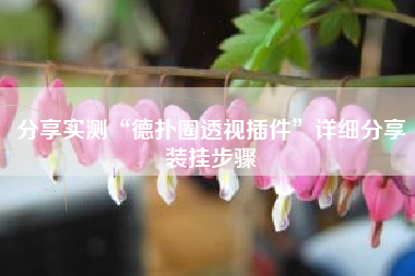 分享实测“德扑圈透视插件”详细分享装挂步骤